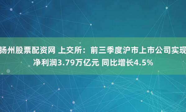 扬州股票配资网 上交所：前三季度沪市上市公司实现净利润3.79万亿元 同比增长4.5%