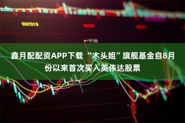 鑫月配配资APP下载 “木头姐”旗舰基金自8月份以来首次买入英伟达股票