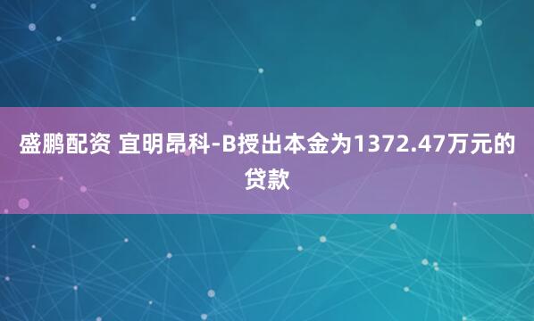 盛鹏配资 宜明昂科-B授出本金为1372.47万元的贷款